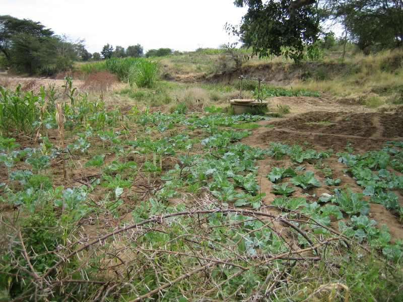 small scale irrigation